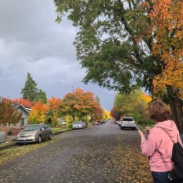 Фотография "И снова осень. 
Снова желтый лист. 
И стылая вода, 
Туманный холод.... 
(А. Фельдман)
Прогулка по осеннему Ванкуверу."