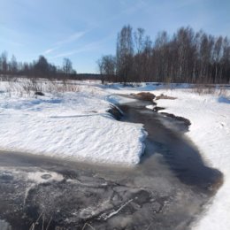 Фотография от Надежда Селезнёва