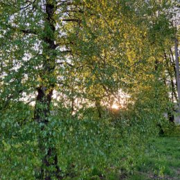 Фотография "Закат перед Пасхой"