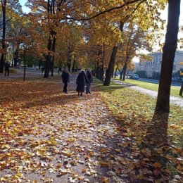 Фотография от Елена Побоева