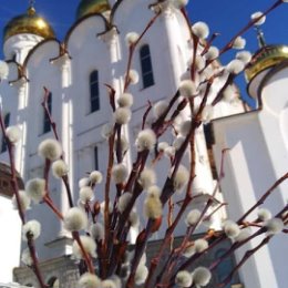 Фотография от Наталья Лесонен(Матвеева)