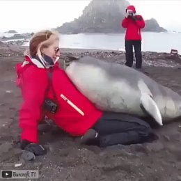 Фотография от Надежда Приймак