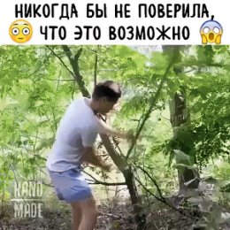 Фотография от Николай Пустовойт