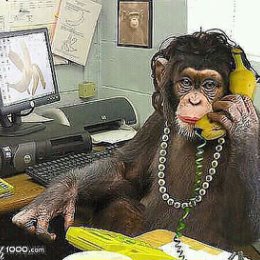 Фотография "важный разговор  с министром бананово производство :)"