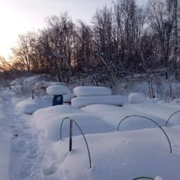 Фотография от Cветлана Баранова Рыжун Небрат