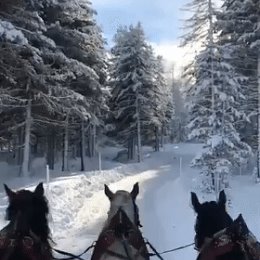 Фотография от Сергей Дудка