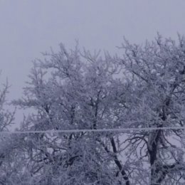 Фотография от Екатерина Зайцева(Анисимова)