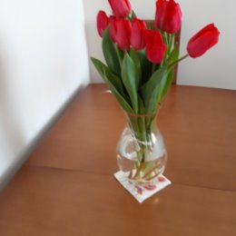 Фотография "Цветут тюльпаны из под снега 8 Марта , любимый муж - волшебник ."
