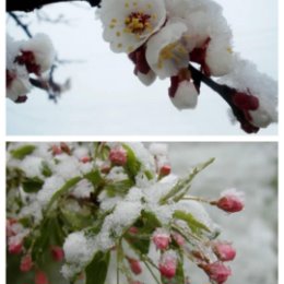 Фотография от Наталья Дурцева