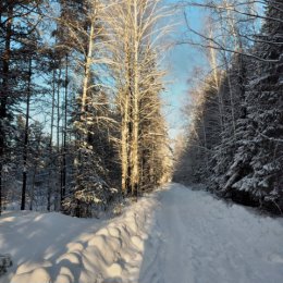 Фотография от Ольга Кепина(Барсукова)