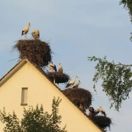 Фотография от Любовь Сергеева