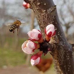 Фотография от Елена Бобылёва