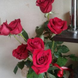 Фотография "#розы #простоцветы"