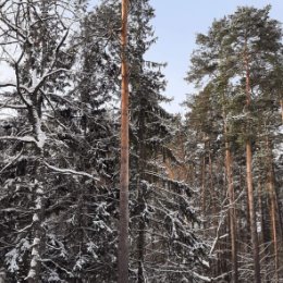 Фотография от Любовь Демидова (Рожкова)