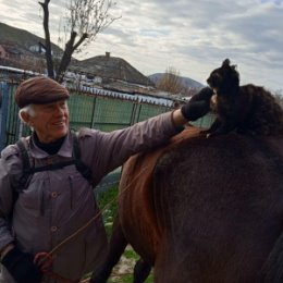 Фотография от Николай Береговой