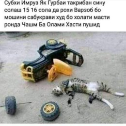 Фотография от Эмомали Шаимов