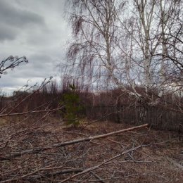 Фотография от Виктория Писарева