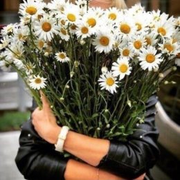 Фотография "Если ты вошёл в чужую жизнь - посади в ней цветы, а не оставляй сорняки ненависти!"