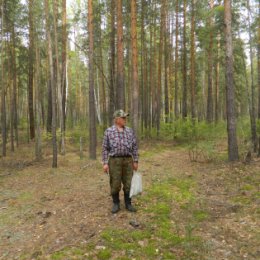 Фотография "Смотритель грибных плантаций."