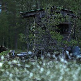 Фотография "Не знаешь,чего и ждать от этой жизни"