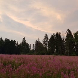 Фотография от Игорь Вишневский