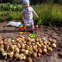 Фотография от Валера Пеньковский