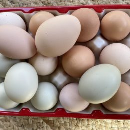 Фотография "Наши кхмм.. яйца"