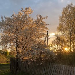 Фотография от Екатерина Горбовская