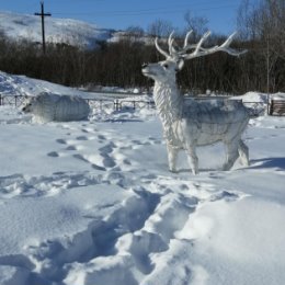 Фотография от Елена Ламах(Трофименко)