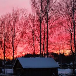 Фотография "Зимний закат. Дубки. 08.01.24"