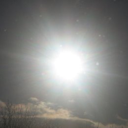 Фотография "солнечное затмение ,январь 2011"