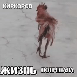 Фотография от Евгений Савушкин