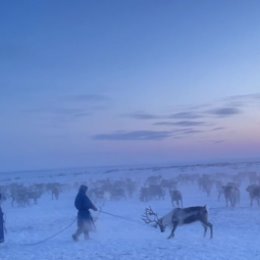 Фотография от Катыгинский Владимир