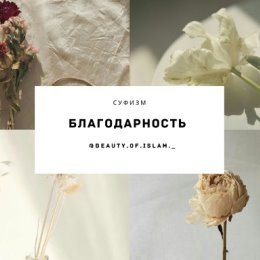 Фотография от Сара مؤمنة