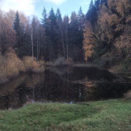 Фотография "Лесное осеннее озеро!"