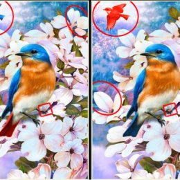 Фотография "Найди еще 4 отличия: https://ok.ru/game/find-online?referer=album_post&tid=503143409"