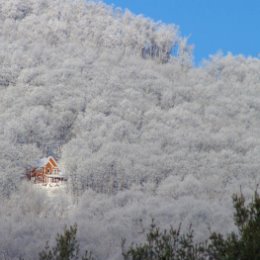 Фотография от Виктория Щурова