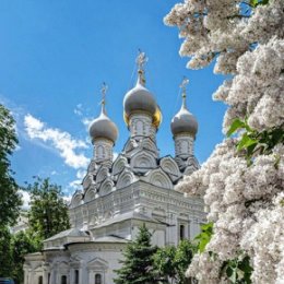 Фотография от Галина Симонова