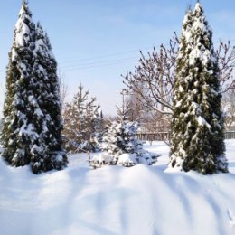 Фотография от Наталья Рожкова