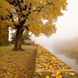 Фотография от Мария Булановакрушинина(голуно