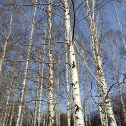 Фотография от галина изместьева