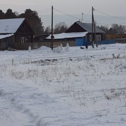 Фотография "Соседские ребятишки снеговиков налепили."