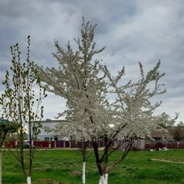 Фотография от Татьяна Прокопнева