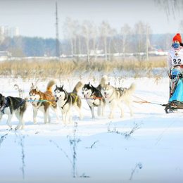 Фотография от Александр Николаев