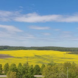 Фотография от Анна Минич