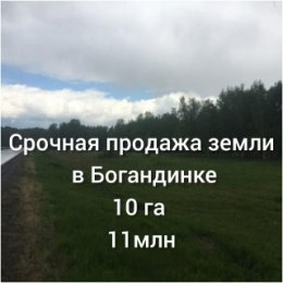 Фотография от Ксения Брылова