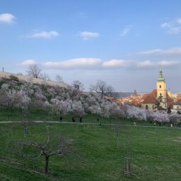 Фотография от Ирина Титенко