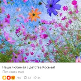 Фотография от Оксана Валентиновна