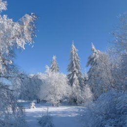 Фотография от Сергей Трифонов