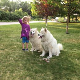 Фотография "Olivia with our dogs"